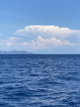 Île sauvage de Capraia Isola 🇮🇹